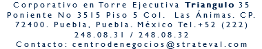 Corporativo en Torre Ejecutiva Triangulo 35 Poniente No 3515 Piso 5 Col. Las Ánimas. CP. 72400. Puebla, Puebla. México Tel.+52 (222)248.08.31 / 248.08.32
Contacto: centrodenegocios@strateval.com 